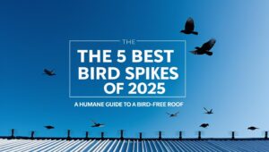 best bird spikes for roof