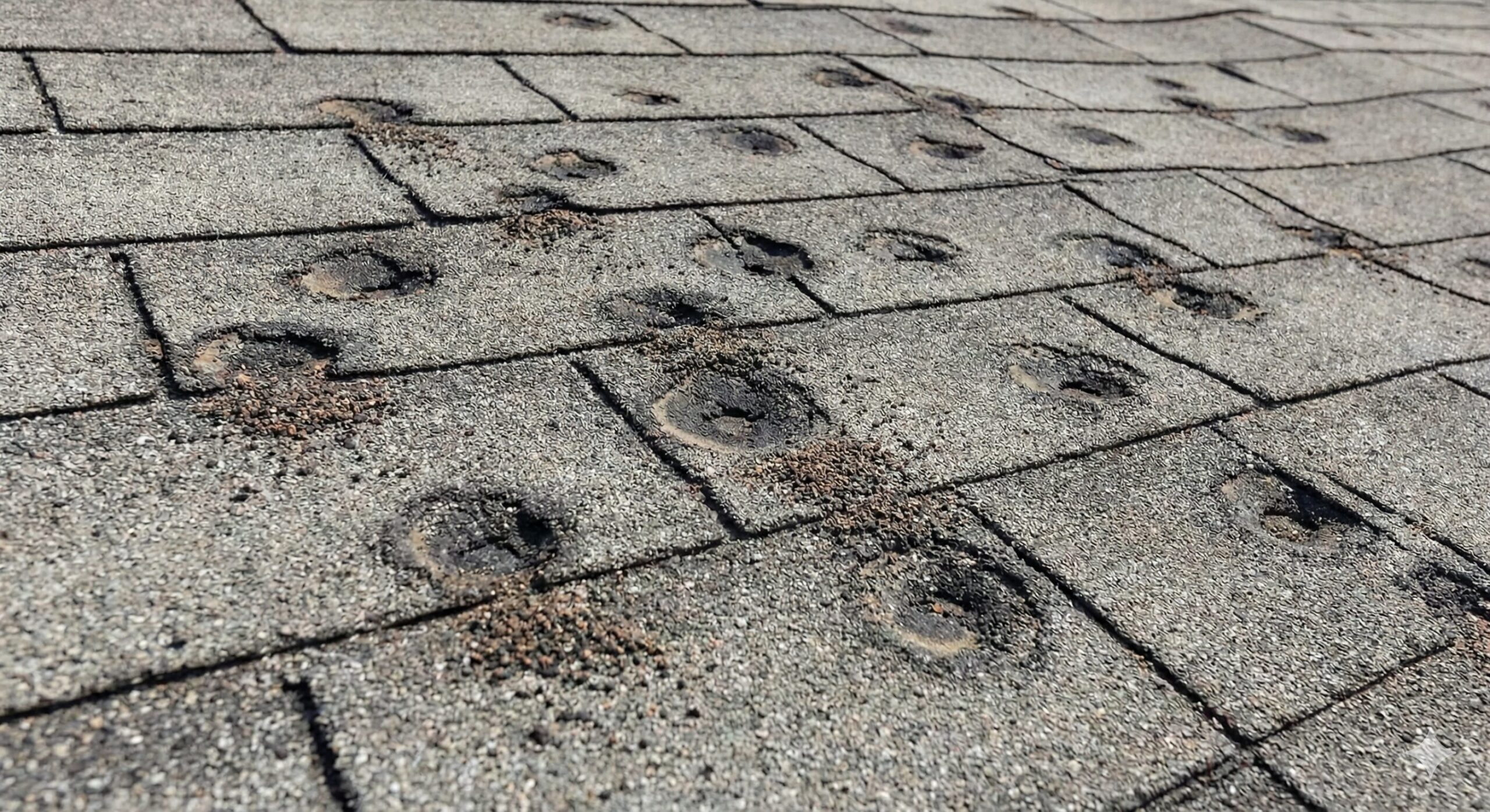 Roof shingles showing circular hail damage impacts