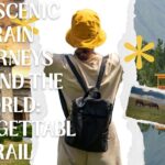 Top Scenic Train Journeys Around the World Unforgettable Rail